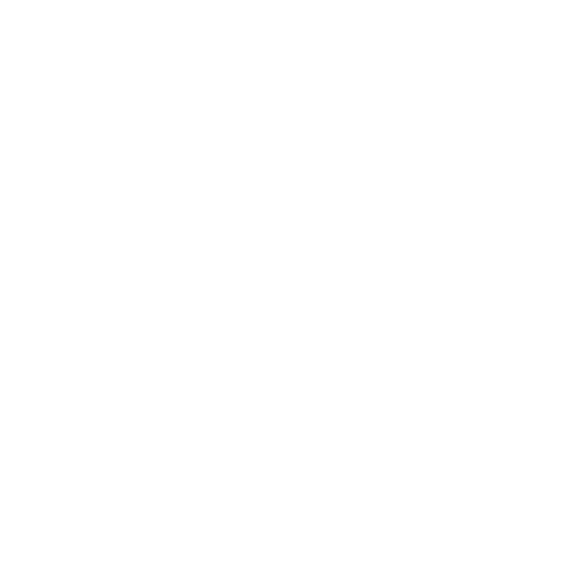 X Icon